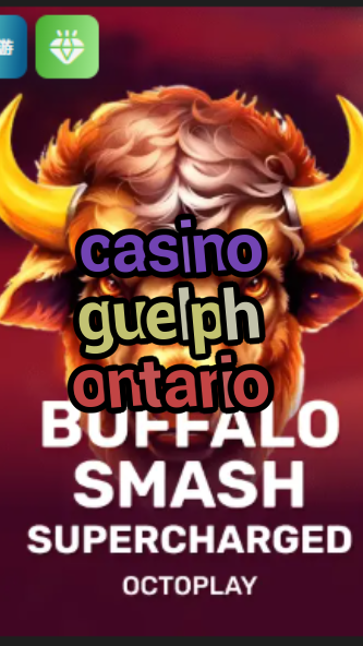 casino guelph ontario-w4cy2mdjlx2bf.com